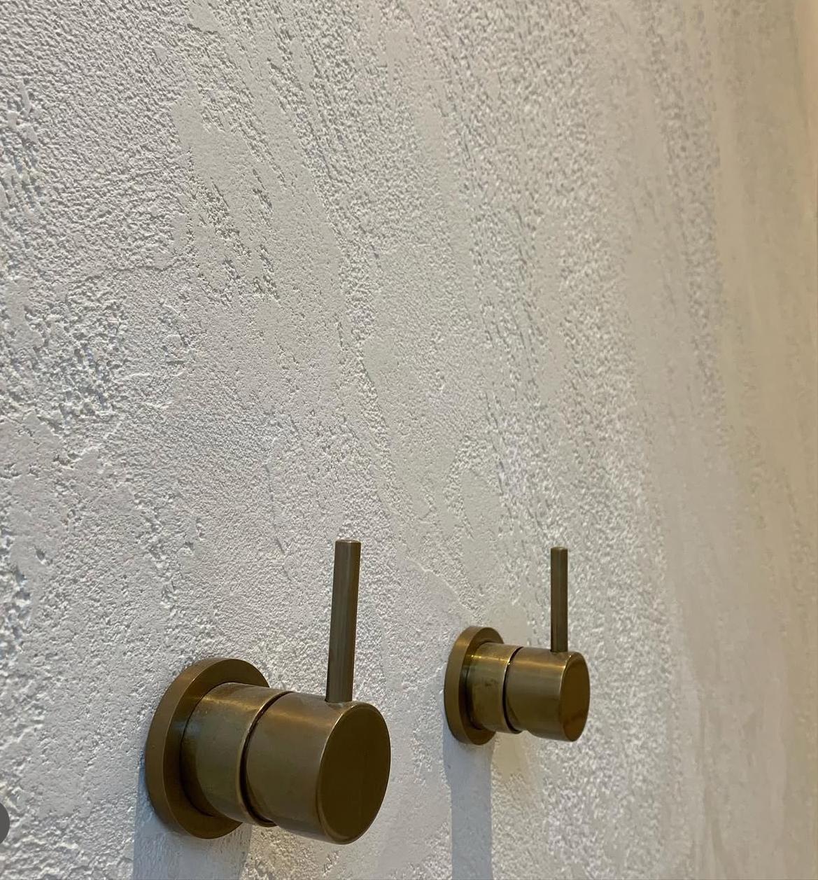 Twin brass shower mixers — Warilla | Shellharbour Plumbing