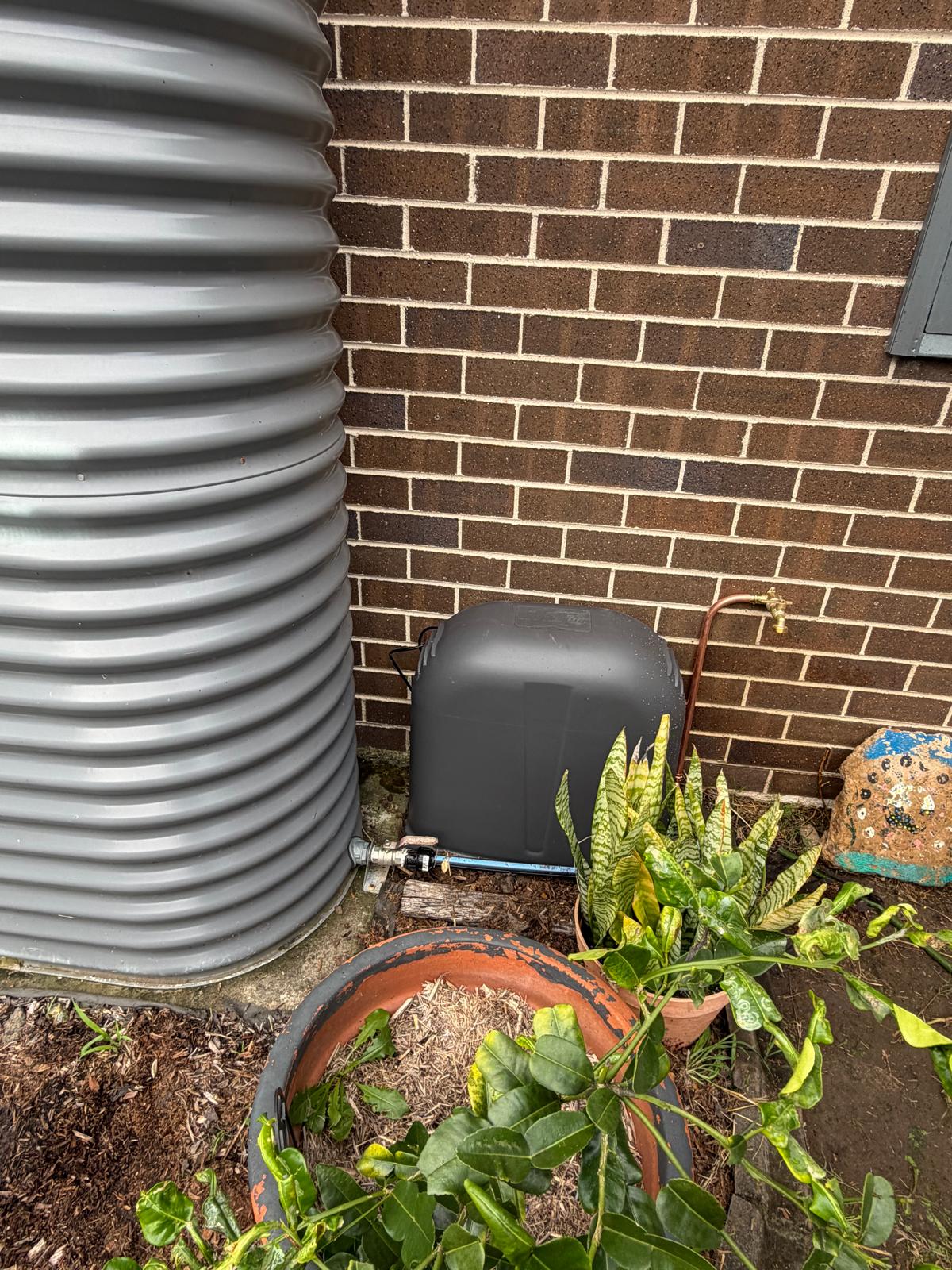 Rainwater tank pump — covered & connected — Shell Cove | Shellharbour Plumbing