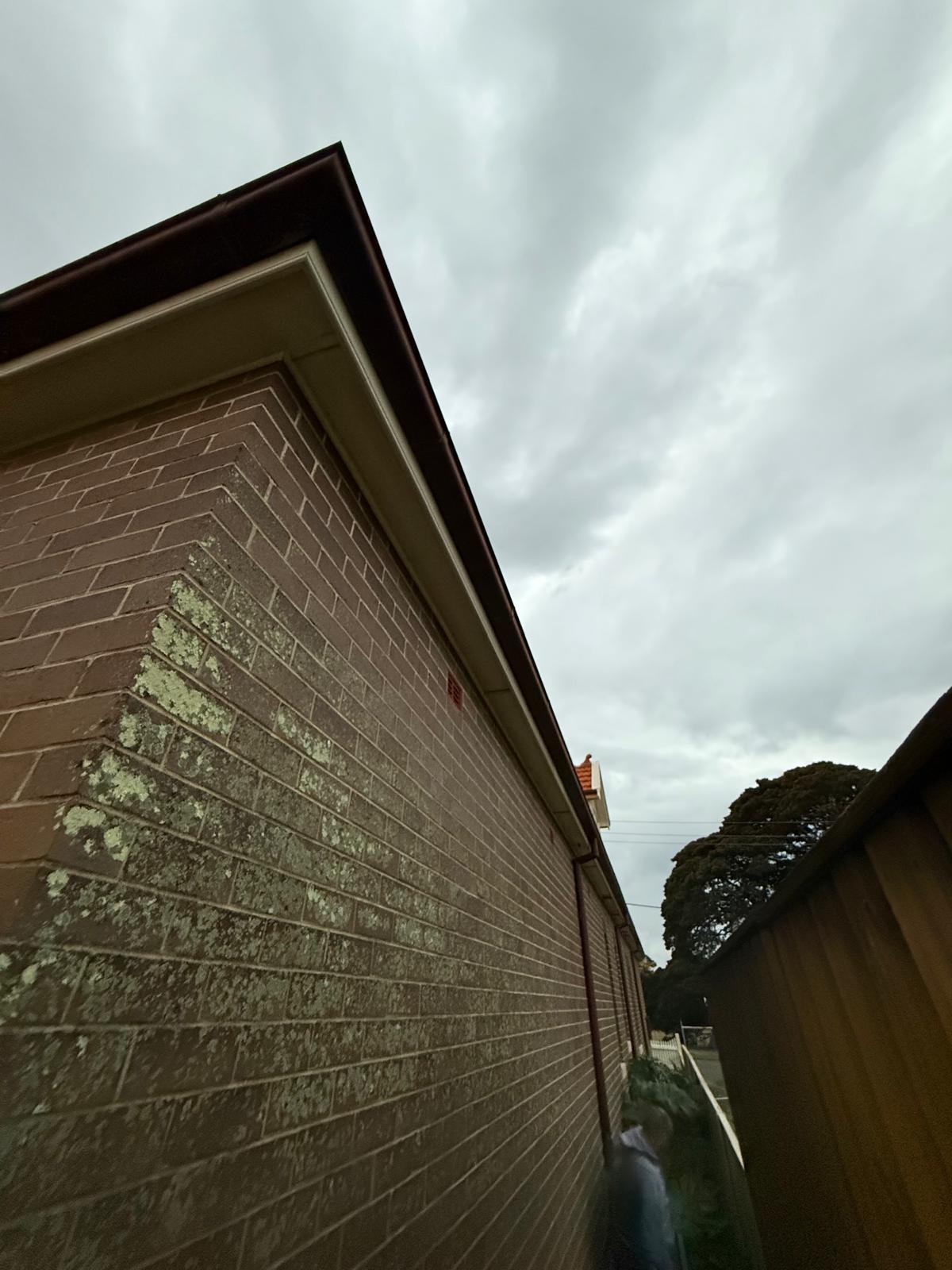 Gutter & fascia replacement — Oak Flats | Shellharbour Plumbing